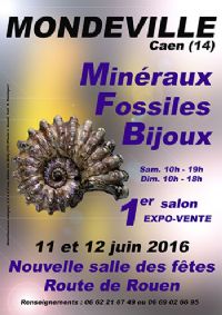 1er SALON MINERAUX FOSSILES BIJOUX. Du 11 au 12 juin 2016 à MONDEVILLE. Calvados.  10H00